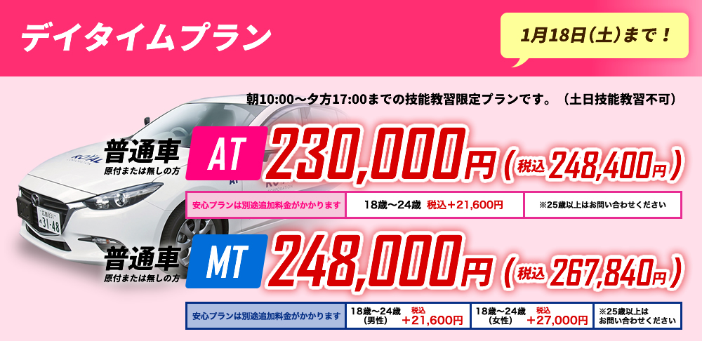デイタイムプラン