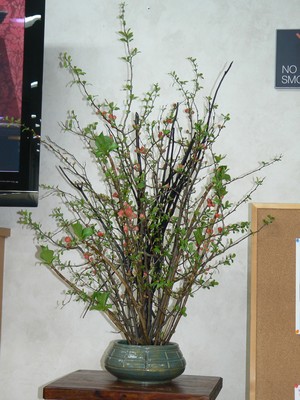お花.jpg
