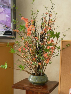 生花フォト 001.jpg