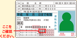 免許証見本