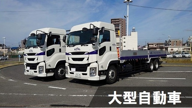 大型免許　ロイヤル