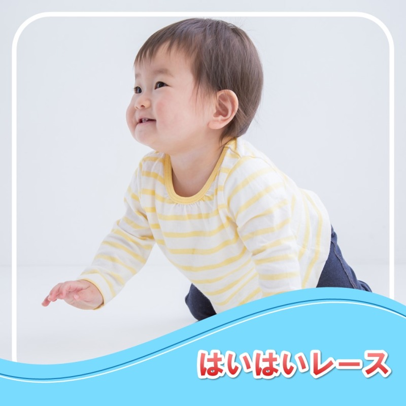 hihi ロイヤル感謝祭 はいはいレース