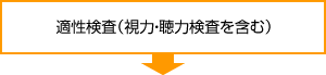 適性検査 （視力・聴力検査を含む）