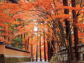 三原市佛通寺の写真