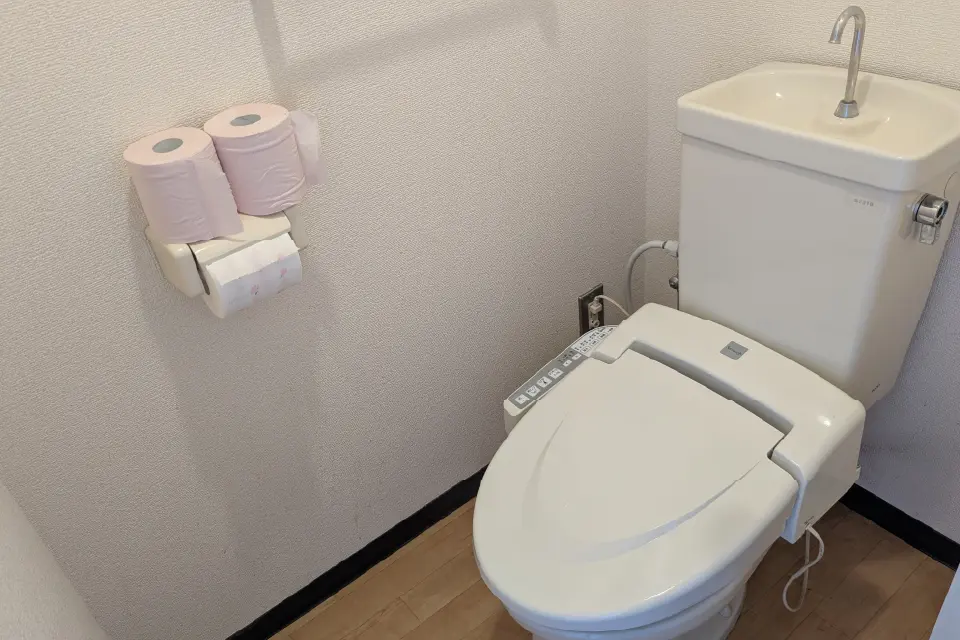 グリーンマンションのトイレ