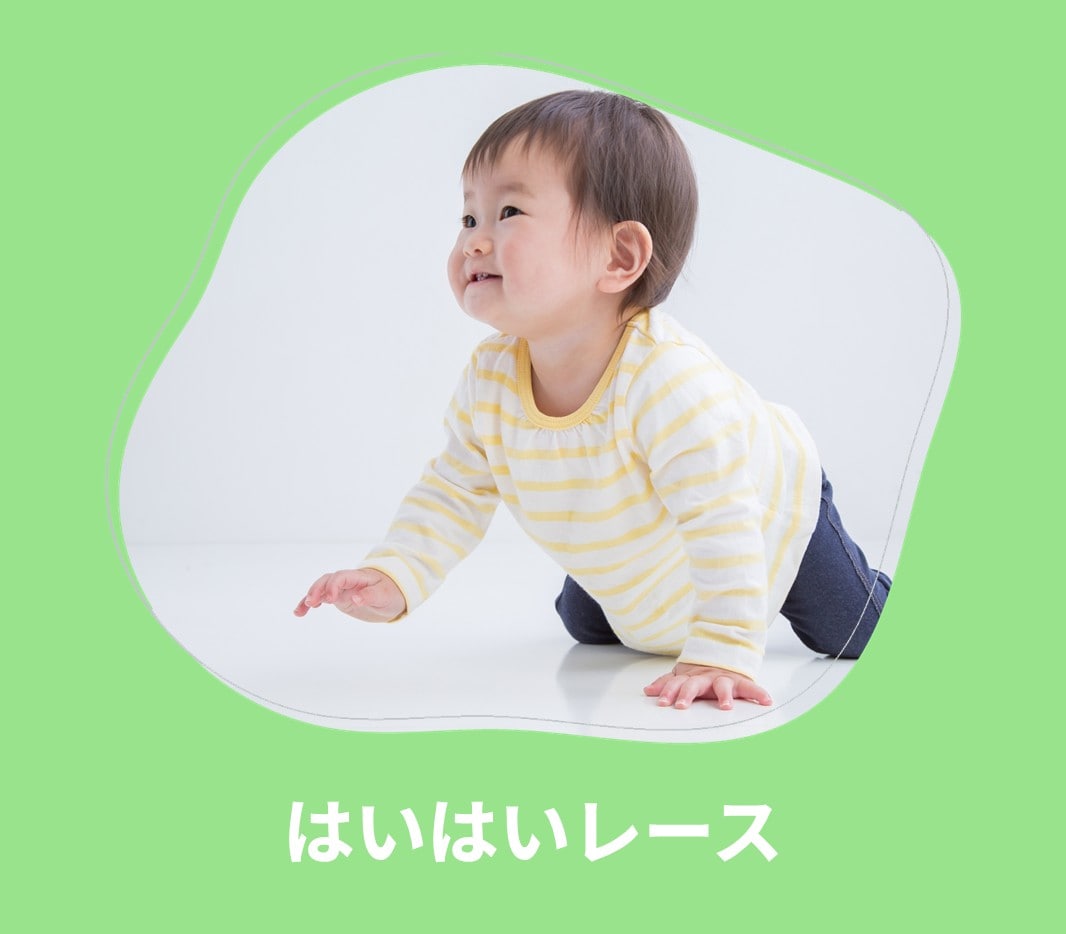 ロイヤル感謝祭2025 はいはいレース