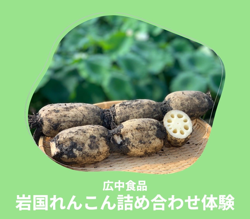 ロイヤル感謝祭2025 広中食品 岩国れんこん詰め合わせ体験